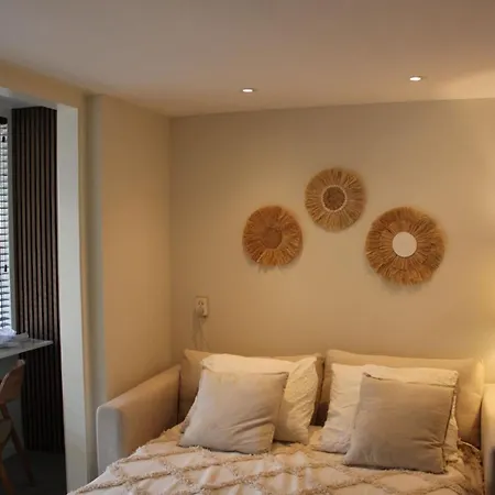 Holiday home No 5 Aan Zee - 300 Meter Het Met Gratis Parkeergelegenheid Noordwijk